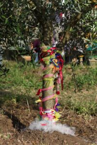 2009-06-23_campo_dell_arte_07