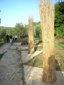 dscn2820